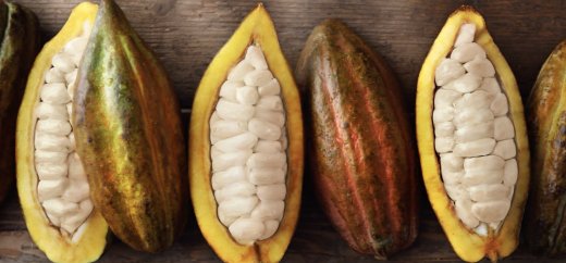 capture-decran-2021-05-26-a-18.56.54